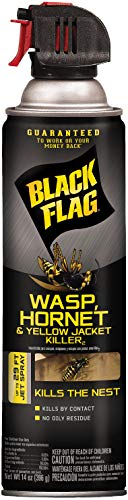Black Flag Wasp, Hornet, and Yellow Jacket Insect Killer