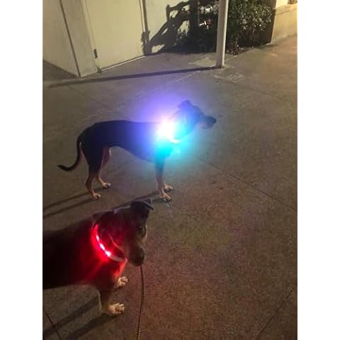 Glow in The Dark Led Dog Collar 2 Pack, USB-C Rechargeable Multi Color RGB Light Up Dog Collars, Cuttable Dog Safety Lights for Night Walking, Fit for Small/Medium/Large Dog Cover