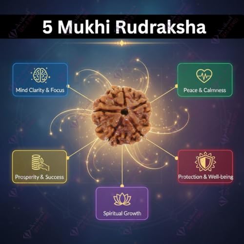 Image of Arihant Gems & Jewels 5 Mukhi /Faced Nepali Rudraksha | Natural & Certified | Astrological Five Mukhi /Faced Rudraksha | Positive Effect | Unisex Both for Men & Women.