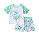 Fossen Ropa Niño Bebe 1-6 años Verano Conjuntos Dibujos Animados de cocodrilo Animal Camiseta Manga Corta y Pantalones Cortos de Cuadros (2 años, Green)