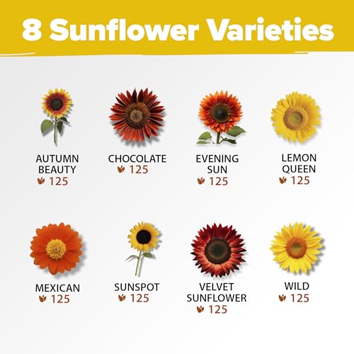 Image of HOME GROWN Sunflower Seeds for Planting | 8 Varieties |1000+ Non-GMO Sun Flower Seeds Packets to Plant: Grow Dwarf Sunflowers, Mexican Sunflowers, Wild, Lemon Queen,Autumn Beauty,Sunspot, Velvet Queen