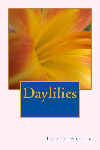 Daylilies