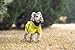 Dog Raincoat Hooded with Reflective Stripe Adjustable Pet Water Proof Clothes Lightweight Jacket Cloak Pet Apperal (X-Large,YellowGreen)