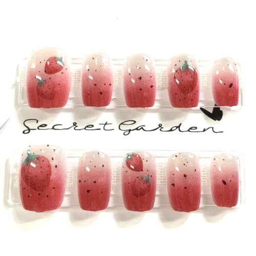 킢 C`S lC`bv V[g tFCNlC sN lC`bv ap[eB[lC`bv 10Zbg Z lR̒ t `bv ʐڒe[vt (, M)