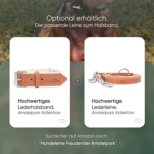 FREUDENTIER® Hundehalsband aus Leder, Made in EU, gefüttert & super komfortabel, hochwertiges breites Lederhalsband aus Vollnarbenleder, Model “Amstelpark” (42-52cm Halsumfang, Cognac)