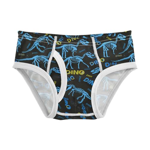 Dinosaur Skeletons Toddler Boy's Underwear 2T 202c1828