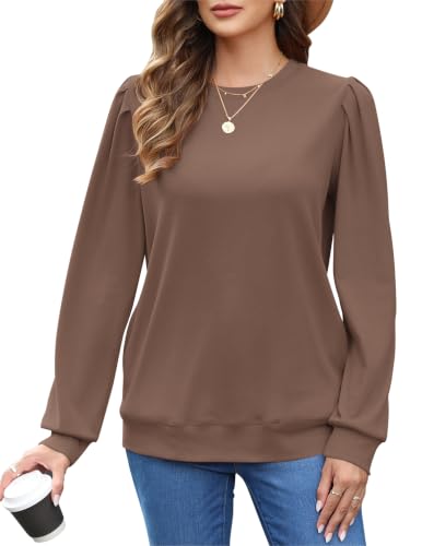 Image of MOLERANI Sweatshirts for Women Casual Long Sleeve Crewneck Shirt Tunic Tops | Pullovers, Soft Lightweight Warm Fabric, Loose Fit, Fall Winter Trendy Clothes, Daily Wear, Workout, Outdoor Outfits