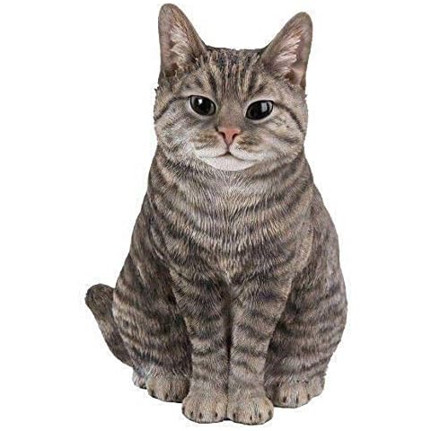 Gato Tabby sentado Vivid Arts de resina de alta calidad Cover