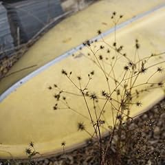 �g�D�[�E�h�D���t�^�[�Y / �X�J�[�g