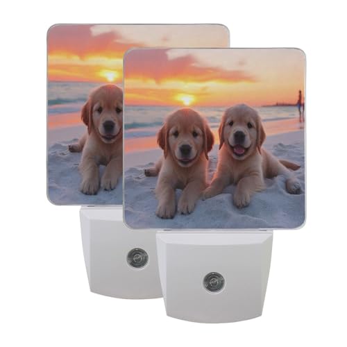 Image of Golden Retriever Puppy Dogs Night Lights 2 Pack Plug-in Wall Led Nightlight Auto Dusk-to-Dawn Sensor Lamps for Bedroom Kitchen Bathroom