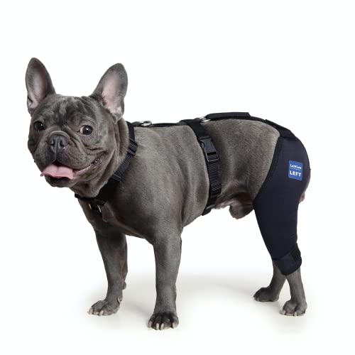 Image of Dog Knee Brace with Harness and Connection Belt, Lightweight and Stretchable, Support for Torn ACL Hind Leg, Luxating Patella, Reduces Arthritis Pain and Inflammation (XXX-Small)