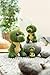 NICI GLUBSCHIS Dino Tiranosaurio Rex Xert 15cm Verde sostenible Hecho de Suave Peluche Imagen de NICI GLUBSCHIS Dino Tiranosaurio Rex Xert 15cm Verde sostenible Hecho de Suave Peluche