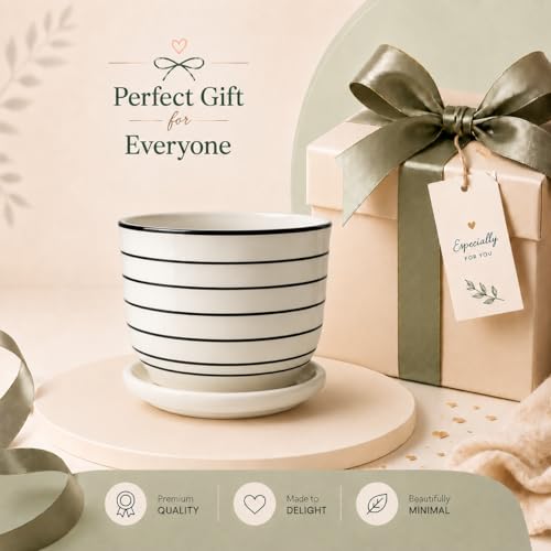 Image of Xtore Ceramic Striped Planter with Tray Figurine | Gloss Finish | for Home, Window & Office Decor - (Pack of 1, Planter ONLY)