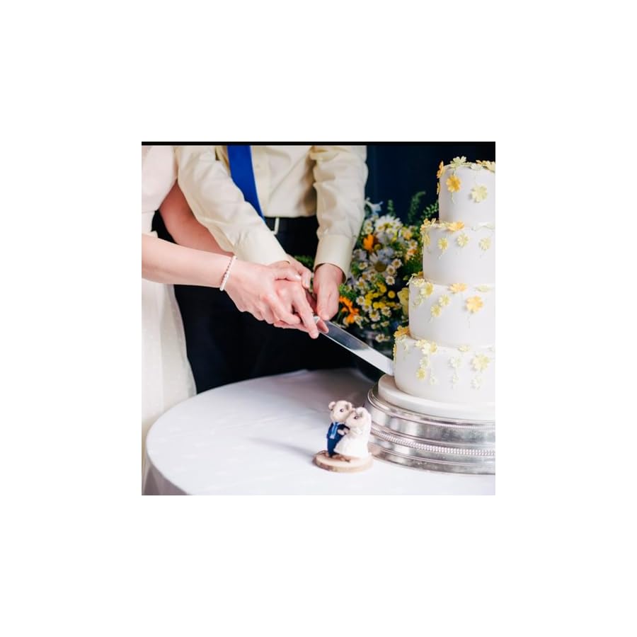 Wedding-Cake-Knife-and-Server-Set-Cake-Cutter-Cake-Cutting-Set-for-Wedding-Cake-Birthday-Gift-Set-Cutter-and-Pie-Spatula-for-Wedding-Birthday-Parties-and-Events Wedding Cake Knife and Server Set Cake Cutter Cake Cutting Set for Wedding Cake Birthday Gift Set Cutter and Pie Spatula for Wedding, Birthday, Parties and Events