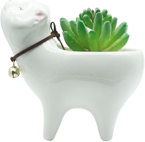 Maceta para suculentas, bonita maceta de cerámica con forma de gato de 5.19 pulgadas para decoración del hogar, jardín, oficina (planta no incluida)