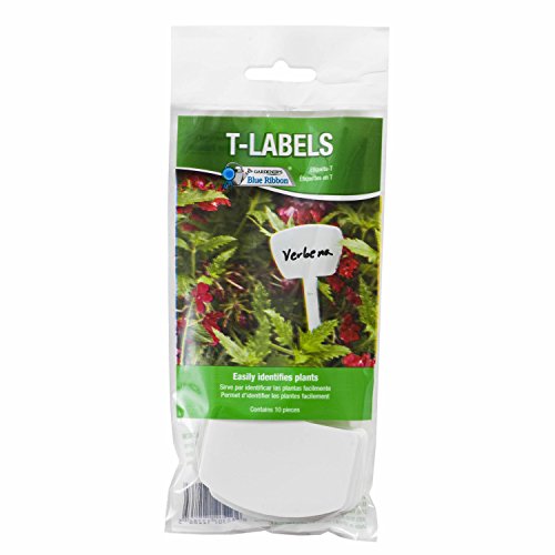 Gardener's Blue Ribbon T023B T-Labels for Plants, 6
