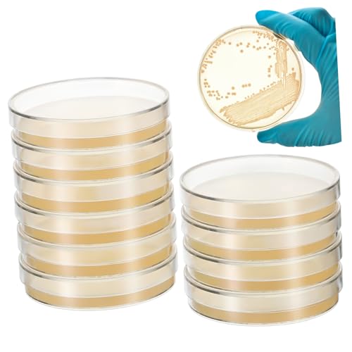Cabilock 10 Placas De Petri Con Agar Prevertido Nutritivo Para Cultivo Microbiano 7Cm Herramientas De Laboratorio Para Experimentos Científicos Stem Educación