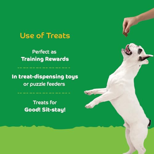 Image of Pumpkin with Turmeric Dog Biscuits for Puppies & Adult Dogs | Oven-Baked Crunchy Dog Treats Made with Real Ingredients | Healthy Training & Reward Snacks | 420g
