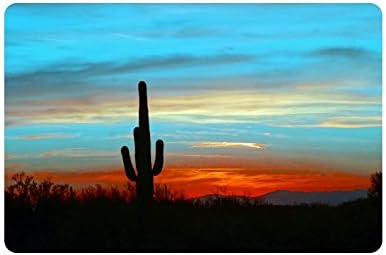 Desert Cactus Cacti Trees Blue Art Durable Indoor/Outdoor Doormats 23.6"(L) x 15.7"(W) 3/16" Thickness