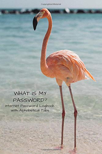 What Is My Password? Internet Password Logbook with Alphabetical Tabs: password keeper, notebook, 6"x9" log book to protect usernames and passwords
