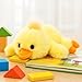 Mushymallow Adorable Duck Stuffed Animal Soft Duck Plush Toy Cute Birthday Gifts for Boys Girls Kids Toddlers