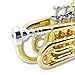 WUQIMUSC Brass Pocket Trumpet Bb Key Nickel Plated with Mouthpiece 7C, Cleaning Kit, Carrying Case, Gloves for Beginners/Students (Golden)