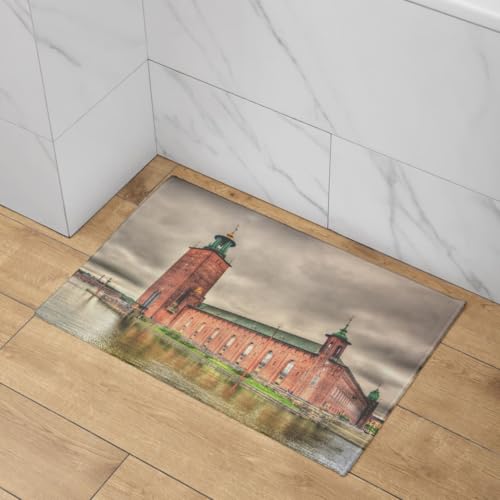 Tapis devant de porte extérieur et intérieur CEVAN tapis d'entrée 50x80cm - 4