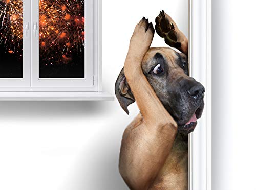 CaniMove Relax mini - 30 Kapseln (a 390 mg), Ergänzungsfuttermittel für Hunde zur Beruhigung und Entspannung auf natürliche Weise durch Casein (Casozepin), Tryptophan, L-Theanin, B6 und Inositol