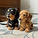 Dachshund Stuffed Animal - Realistic Soft Stuffed Animal Dog Toy, Simulated Plush Puppy, Emotional Comfort Companion for Adults Birthday Party Dog Collection (Black)