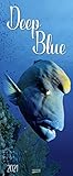  Deep Blue 2021: Schmaler Wandkalender. Foto-Kunstkalender mit faszinierenden Unterwasseraufnahmen. PhotoArt Vertikal. 28,5 x 69 cm.