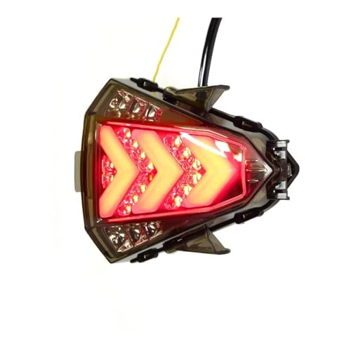 Feu arrière de moto à LED clignotants intégrés optique signalisation YZF-R15 2015