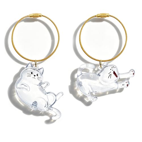 Ibiwe Cat Hair Keepsake Keychain 2Pcs Pet Fur Keepsake Holder Cat Fur Memory Charm Pet Hair Heartwarming Memorial Gifts for Pet Lovers Cats Enthusiast Commemorative Gifts