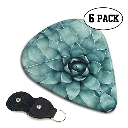 Succulent Plant Lot de 6 médiators pour guitare acoustique, guitare électrique, basse, ukulélé – fin, moyen et épais. - Les Beatles, Paul McCartney, John Lennon, RIngo Starr, George Harrison Succulent Plant Lot de 6 médiators pour guitare acoustique, guitare électrique, basse, ukulélé – fin, moyen et épais. – Image 3