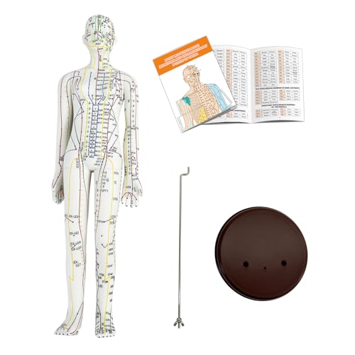 Acupuncture Model, Human Acupoint Model 20.5in Full Body Silicone Professionals Clear Identification with Base for Chinese Medicine Teaching Acupoint Student Demonstration (Female）