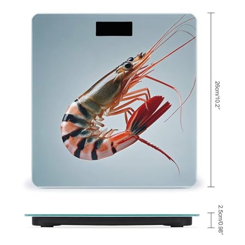 Báscula digital Glutton Garnelen con vidrio templado y pantalla LCD miniatura 2