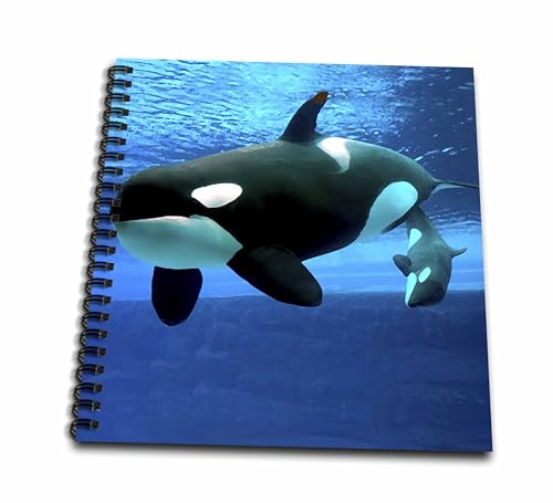 3dRose db_5728_1 Killer Whales Drawing Book