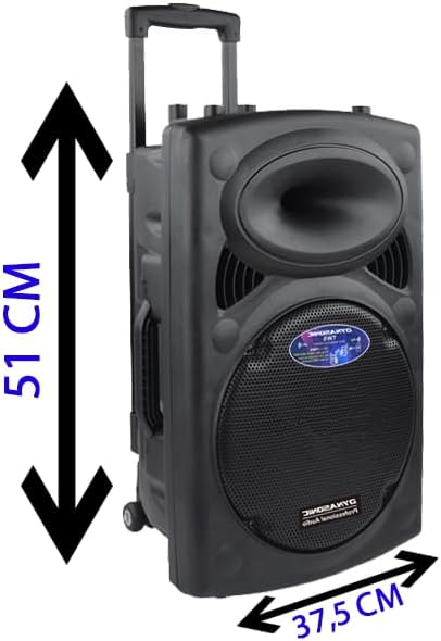 DYNASONIC Dynapro 10 speaker with dimensions indicated