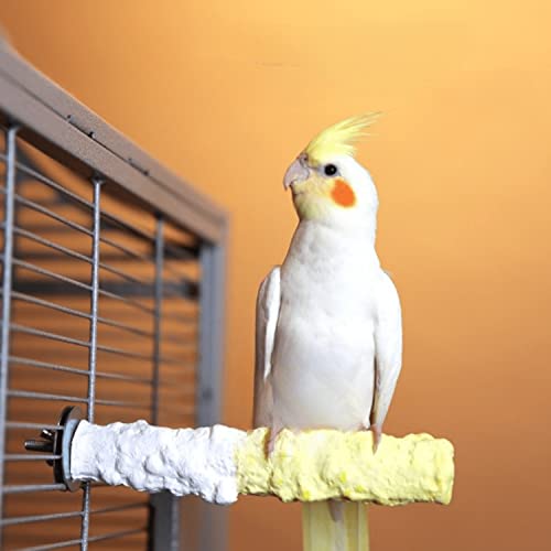 Image of Bird Perches for Parrots-Cuttlebone Calcium Perch Standing Cuttlebone Holder for Birds Cage Accessories Color Randomly (Small)