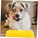 BESPORTBLE Double Design Pet Feeding Bowl for Cats and Dogs Dual Compartment Candy Color Dog Food and Water Container Non Slip Practical Yellow Bowl