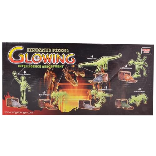 Image of Dino Fossil 3 In 1 Set - Multicolor