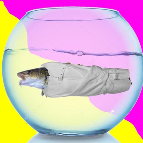 Politics, Pornhub, and more