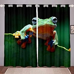 Persianas Jav Cortinas de Rana Javan Tree Frog Cortinas para Ventana para niños y con de Rana voladora 3D Wild Animal Cortina de Ventana verdeW66*L90