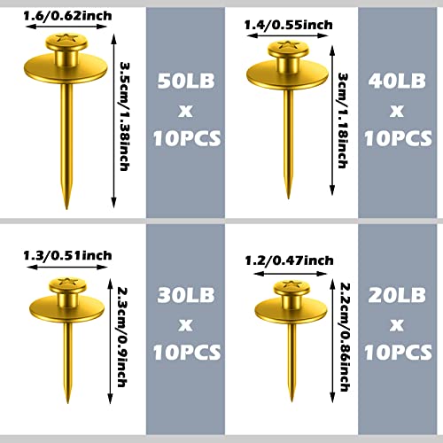 Image of Zhengmy 40 Pcs Double Headed Picture Hangers Nails 4 Size Long Thumb Tacks Wall Nails for Hanging Pictures Decorative Push Pins Hooks for Drywall Photo Office Home Decor, 20 /30 / 40 / 50lb(Gold)