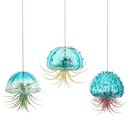 Glasseam Hanging Air Plant Holder: 3Pcs Glass Jellyfish Air Plant Hanger with Jute Ropes for Tillandsia Succulent Houseplants - Cute Airplant Display Container for Indoor Home Decor