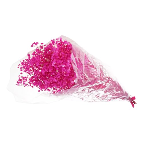 Flor natural de aliento de bebé seca 50 cm para decoración miniatura 6