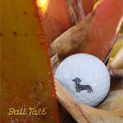 Carimbo de bola de golfe, carimbo de bola de golfe autotinta, marcador de bola de golfe, ferramenta