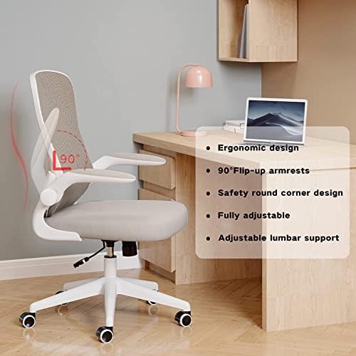 Hbada Ergonomic Desk Chair, Computer Office Chair with Flip-up Armrest&Lumbar Support, Adjustable Height, Grey