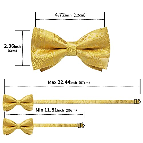 Image of DiBanGu Paisley Pre-Tied Bow Ties for Men Silk Adjustable Bowtie and Pocket Square Cufflinks for Wedding Party