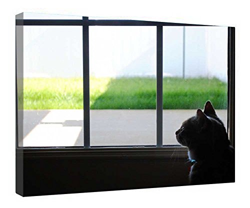 Toile de chat curieux cadre en bois pour sublimer votre coin lecture ou chambre