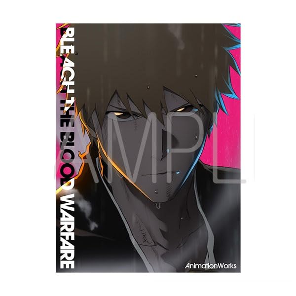 Amazon.co.jp: BLEACH ブリーチ 千年血戦篇 BLEACH Animation Works